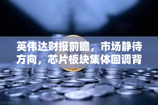 英伟达财报前瞻，市场静待方向，芯片板块集体回调背后的真相