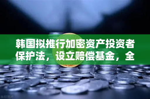 韩国拟推行加密资产投资者保护法，设立赔偿基金，全球监管新范式与投资者应对策略