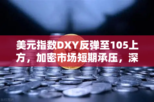 美元指数DXY反弹至105上方，加密市场短期承压，深度解析与投资策略