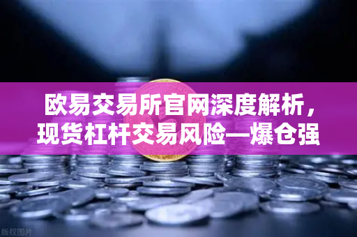 欧易交易所官网深度解析，现货杠杆交易风险—爆仓强平价格是如何计算的？
