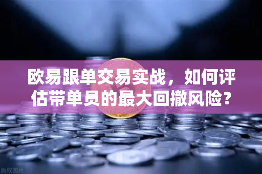 欧易跟单交易实战，如何评估带单员的最大回撤风险？从数据到策略的全面解析