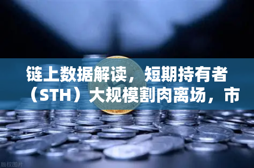 链上数据解读，短期持有者（STH）大规模割肉离场，市场底部信号已现？