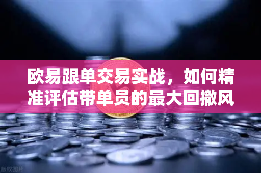 欧易跟单交易实战，如何精准评估带单员的最大回撤风险？从数据到策略的全面指南
