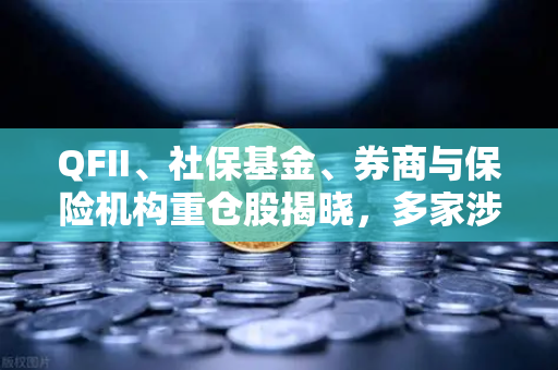 QFII、社保基金、券商与保险机构重仓股揭晓，多家涉币概念股浮出水面，市场风向标再引关注