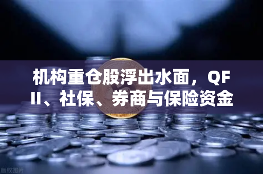 机构重仓股浮出水面，QFII、社保、券商与保险资金布局涉币概念股新动向