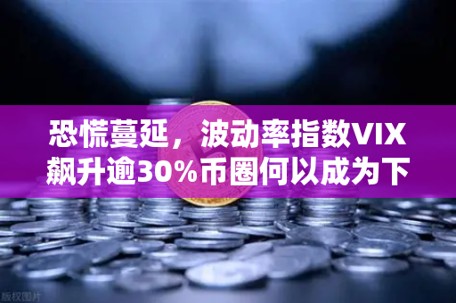 恐慌蔓延，波动率指数VIX飙升逾30%币圈何以成为下一个风暴眼？
