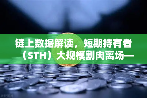 链上数据解读，短期持有者（STH）大规模割肉离场—市场情绪触底还是新一轮风暴前兆？