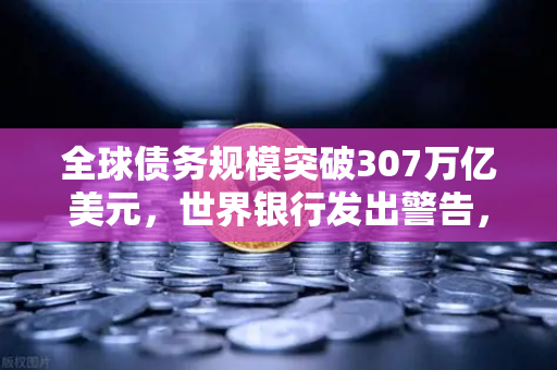 全球债务规模突破307万亿美元，世界银行发出警告，欧易交易所官网解读投资新策略