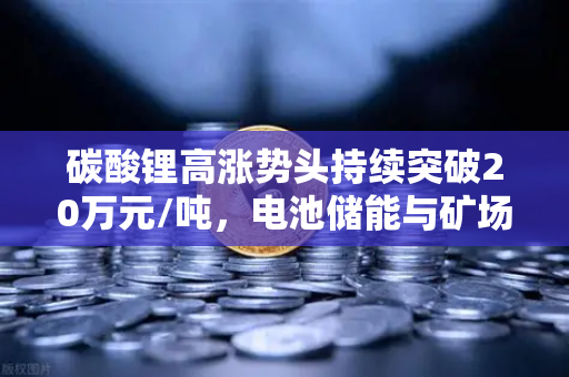 碳酸锂高涨势头持续突破20万元/吨，电池储能与矿场供电成本深度分析