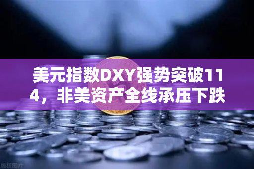 美元指数DXY强势突破114，非美资产全线承压下跌，欧易交易所官网深度解析