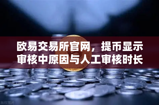 欧易交易所官网，提币显示审核中原因与人工审核时长全解析