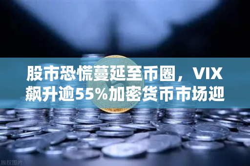 股市恐慌蔓延至币圈，VIX飙升逾55%加密货币市场迎剧烈震荡