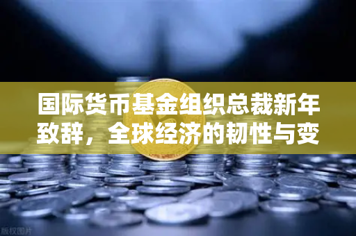 国际货币基金组织总裁新年致辞，全球经济的韧性与变革