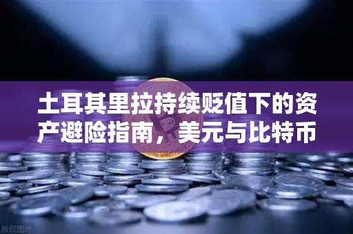土耳其里拉持续贬值下的资产避险指南，美元与比特币成新宠