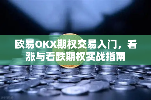 欧易OKX期权交易入门，看涨与看跌期权实战指南