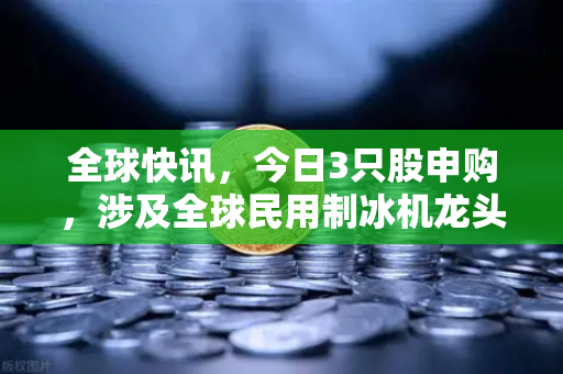 全球快讯，今日3只股申购，涉及全球民用制冰机龙头—投资风向与交易所动态全解析