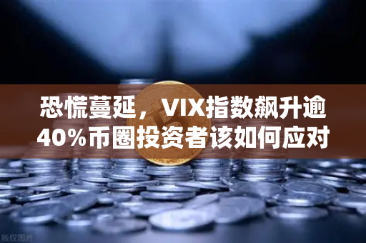恐慌蔓延，VIX指数飙升逾40%币圈投资者该如何应对？