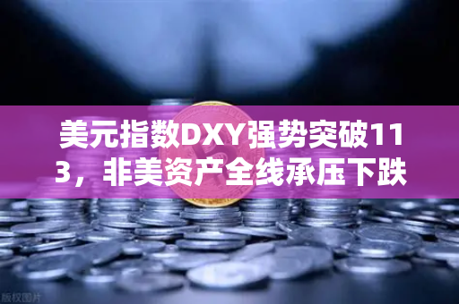 美元指数DXY强势突破113，非美资产全线承压下跌，欧易交易所官网深度解析