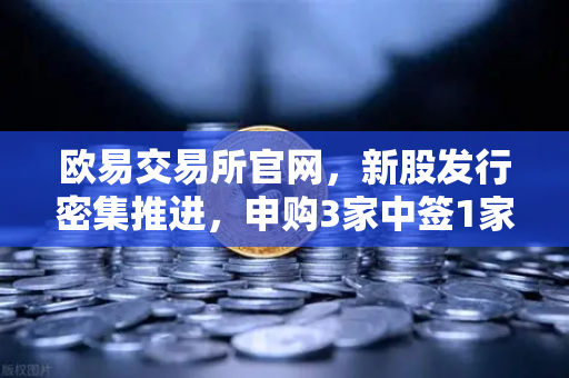 欧易交易所官网，新股发行密集推进，申购3家中签1家上市1家投资策略解析