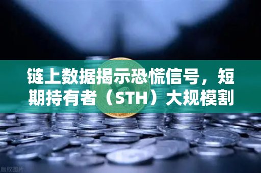 链上数据揭示恐慌信号，短期持有者（STH）大规模割肉离场，市场底在何方？