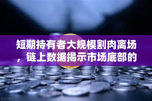 短期持有者大规模割肉离场，链上数据揭示市场底部的信号与机遇