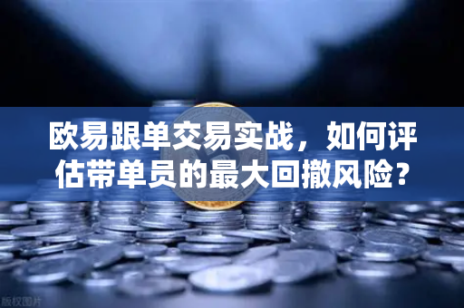 欧易跟单交易实战，如何评估带单员的最大回撤风险？专业交易员的深度解析