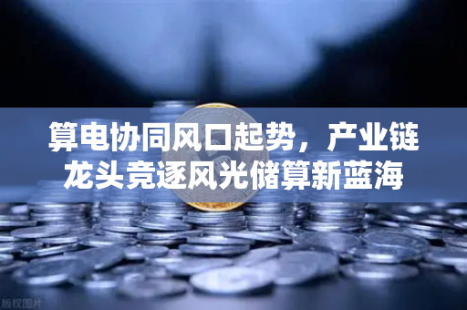 算电协同风口起势，产业链龙头竞逐风光储算新蓝海
